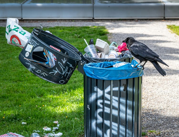 Pretrial Risk Assessments: Garbage in, Garbage out