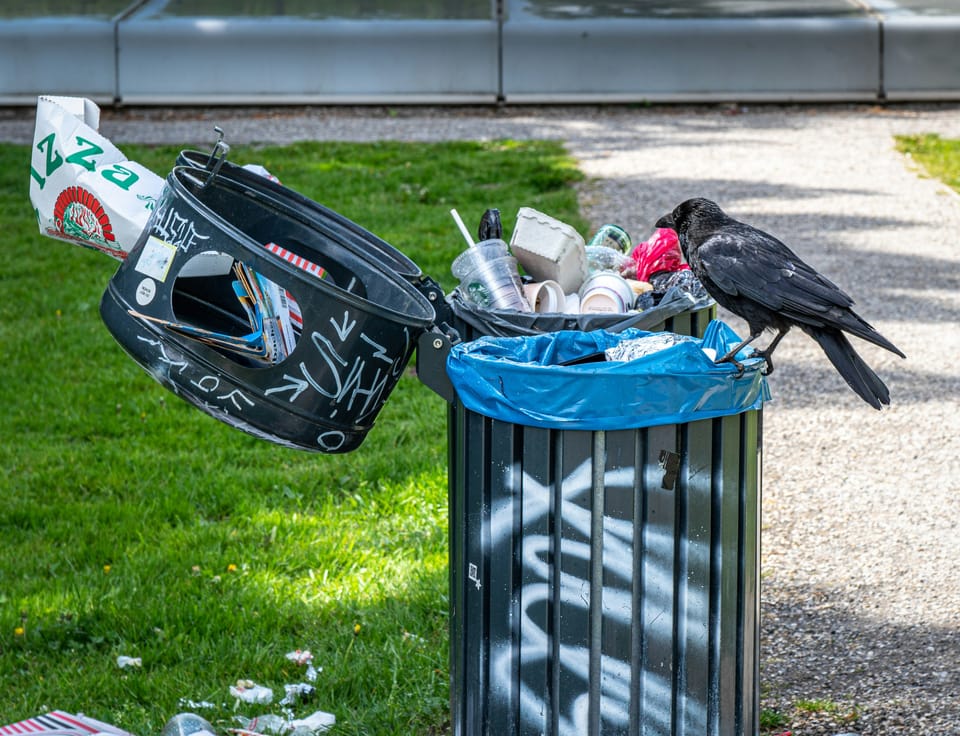 Pretrial Risk Assessments: Garbage in, Garbage out